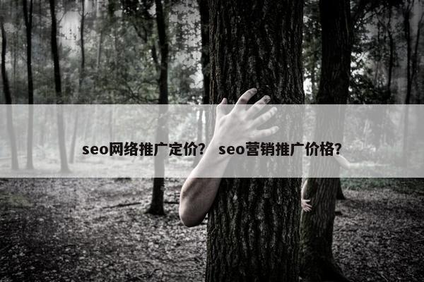seo网络推广定价？ seo营销推广价格？