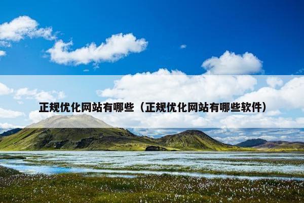 正规优化网站有哪些（正规优化网站有哪些软件）