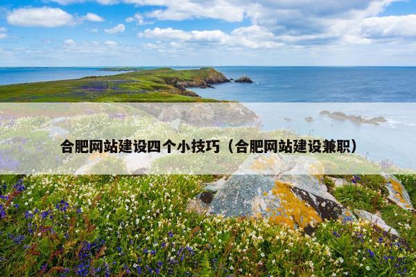 合肥网站建设四个小技巧（合肥网站建设兼职）