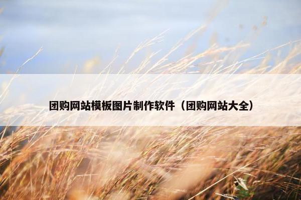团购网站模板图片制作软件（团购网站大全）