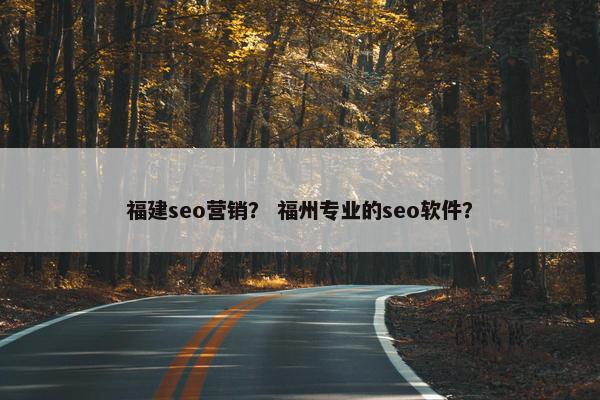 福建seo营销？ 福州专业的seo软件？