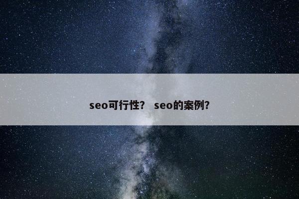 seo可行性？ seo的案例？