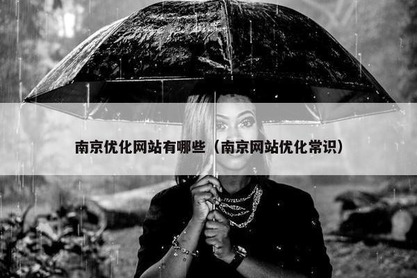 南京优化网站有哪些（南京网站优化常识）