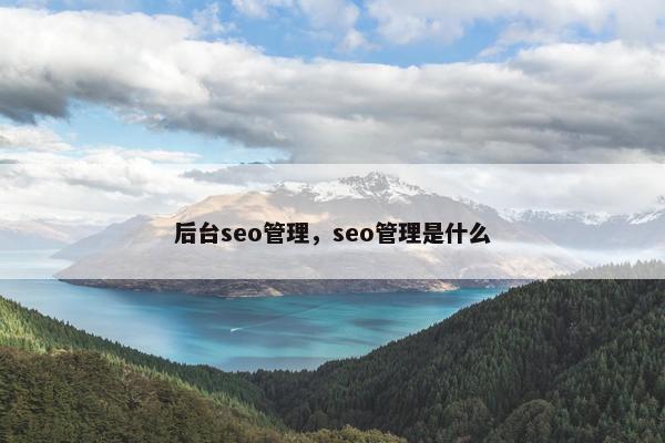 后台seo管理，seo管理是什么