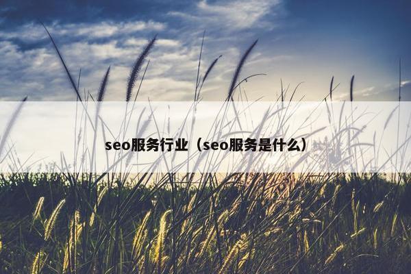 seo服务行业（seo服务是什么）