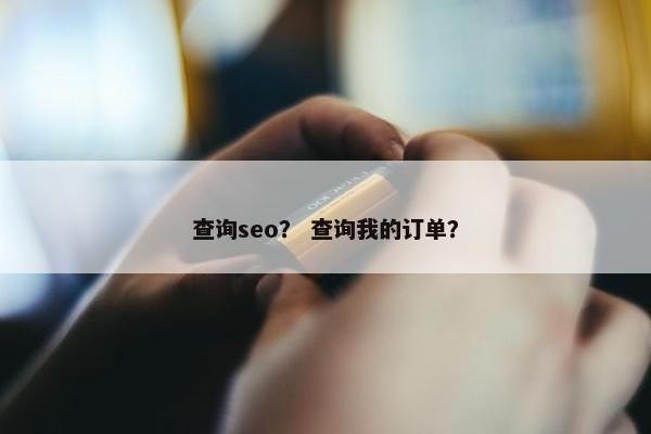 查询seo？ 查询我的订单？