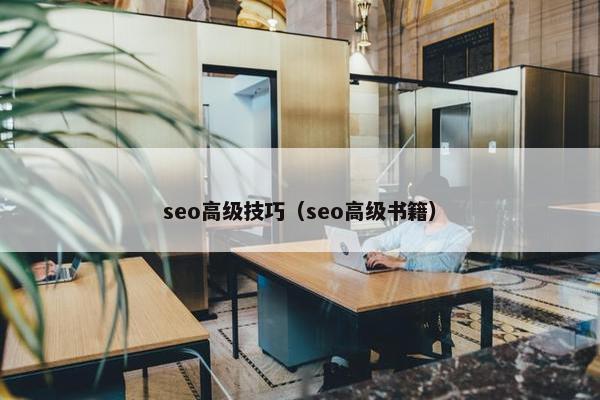 seo高级技巧（seo高级书籍）