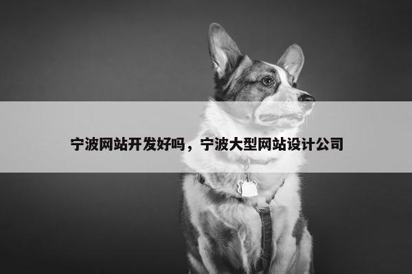 宁波网站开发好吗，宁波大型网站设计公司