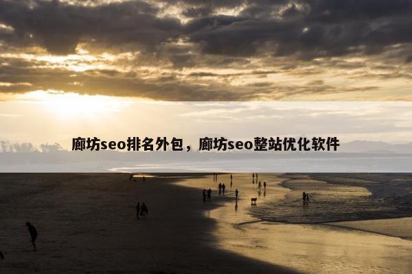 廊坊seo排名外包，廊坊seo整站优化软件
