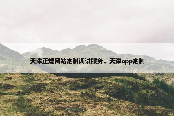 天津正规网站定制调试服务，天津app定制