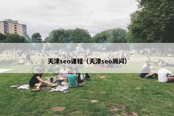 天津seo课程（天津seo顾问）