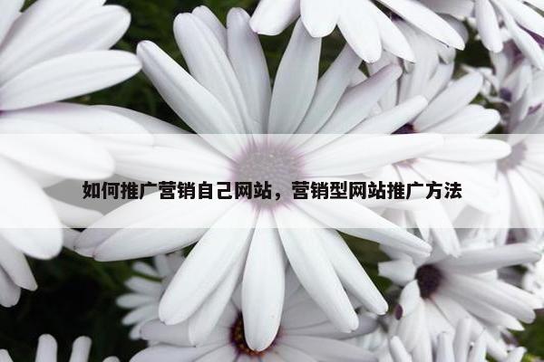 如何推广营销自己网站，营销型网站推广方法