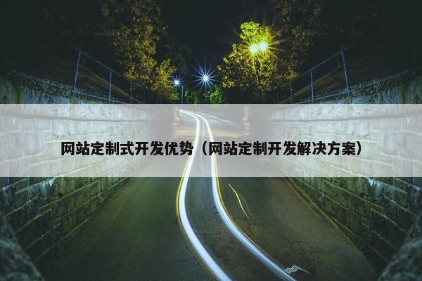 网站定制式开发优势（网站定制开发解决方案）