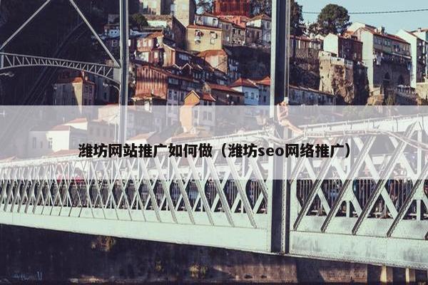 潍坊网站推广如何做（潍坊seo网络推广）