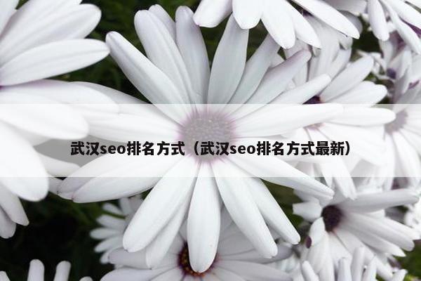 武汉seo排名方式（武汉seo排名方式最新）