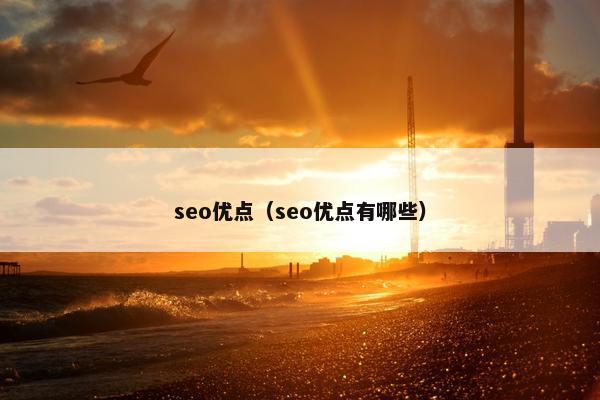 seo优点（seo优点有哪些）