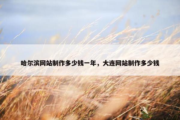 哈尔滨网站制作多少钱一年，大连网站制作多少钱
