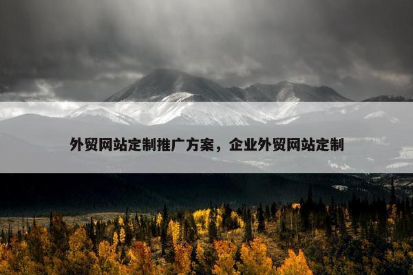 外贸网站定制推广方案，企业外贸网站定制