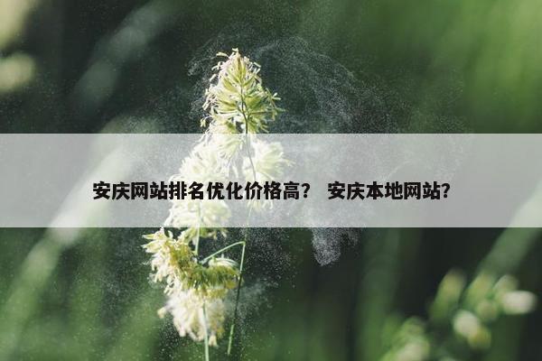 安庆网站排名优化价格高？ 安庆本地网站？