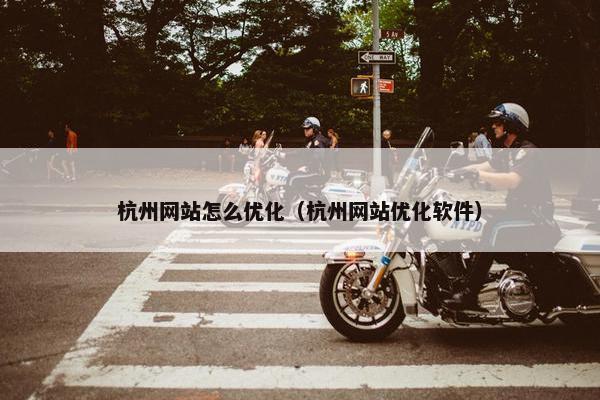 杭州网站怎么优化（杭州网站优化软件）