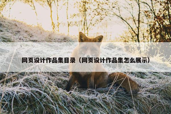 网页设计作品集目录（网页设计作品集怎么展示）