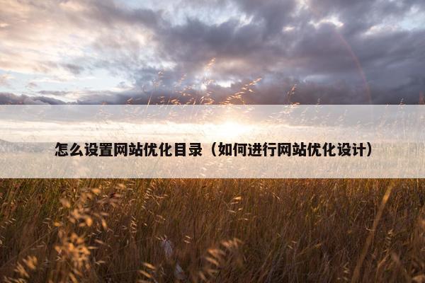 怎么设置网站优化目录（如何进行网站优化设计）