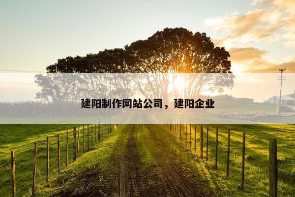 建阳制作网站公司，建阳企业