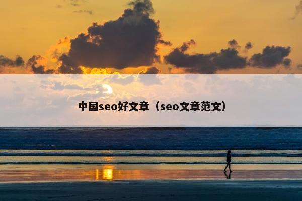 中国seo好文章（seo文章范文）