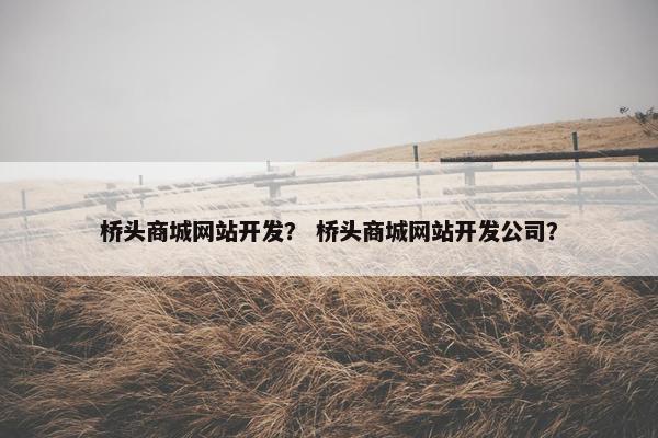 桥头商城网站开发？ 桥头商城网站开发公司？