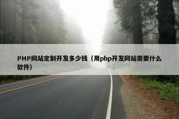 PHP网站定制开发多少钱（用php开发网站需要什么软件）
