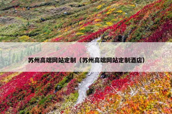 苏州高端网站定制（苏州高端网站定制酒店）
