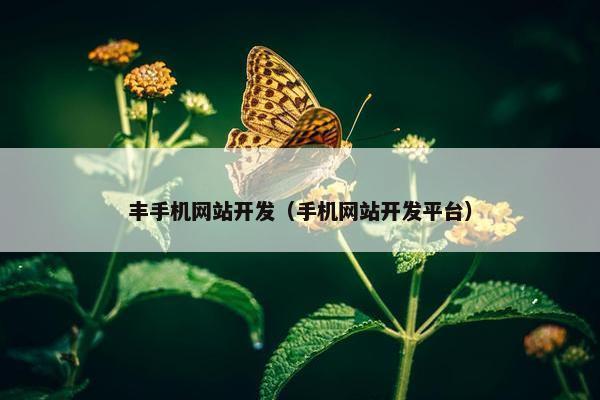 丰手机网站开发（手机网站开发平台）