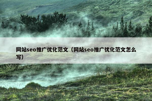 网站seo推广优化范文（网站seo推广优化范文怎么写）