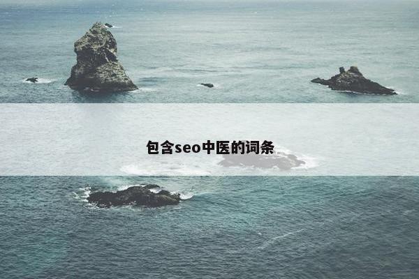 包含seo中医的词条