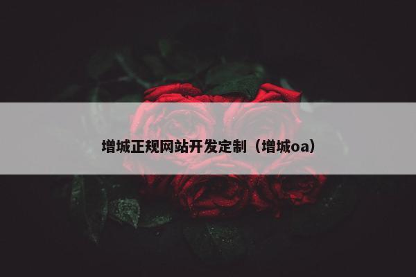 增城正规网站开发定制（增城oa）