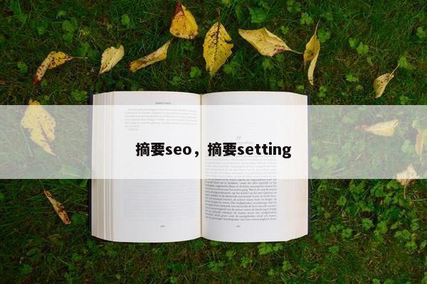 摘要seo，摘要setting