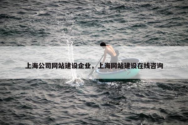 上海公司网站建设企业，上海网站建设在线咨询