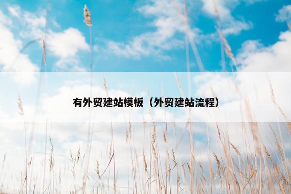 有外贸建站模板（外贸建站流程）