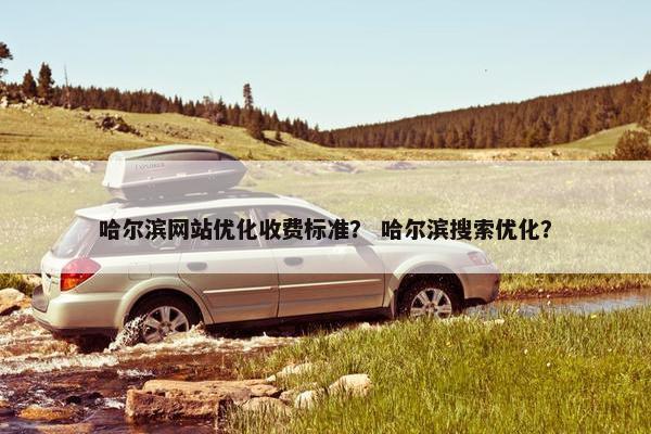 哈尔滨网站优化收费标准？ 哈尔滨搜索优化？
