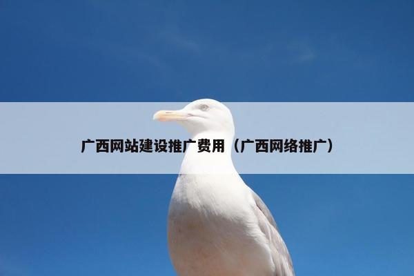 广西网站建设推广费用（广西网络推广）