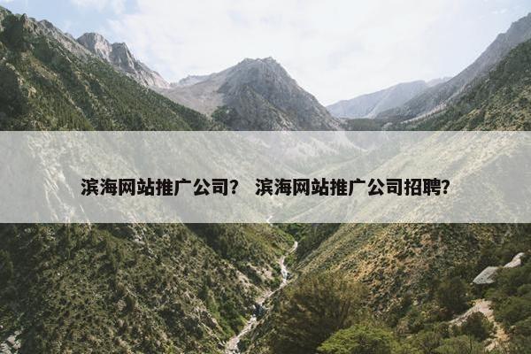 滨海网站推广公司？ 滨海网站推广公司招聘？