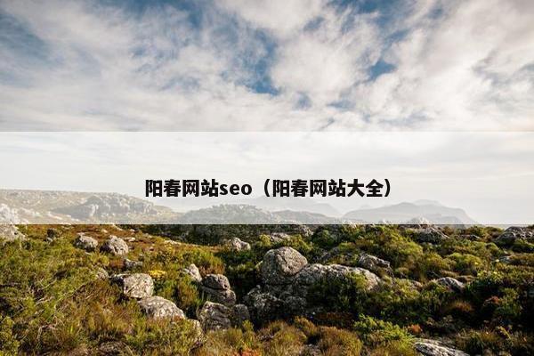 阳春网站seo（阳春网站大全）