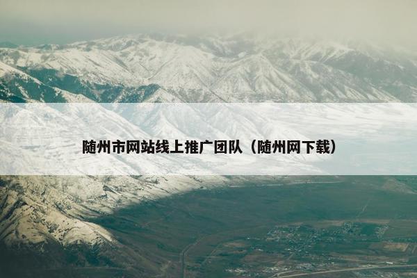 随州市网站线上推广团队（随州网下载）