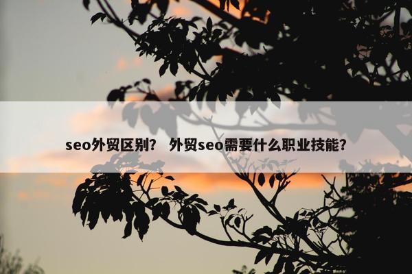 seo外贸区别？ 外贸seo需要什么职业技能？