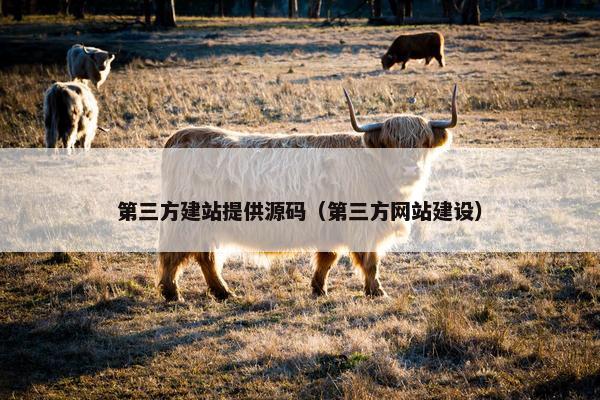 第三方建站提供源码（第三方网站建设）