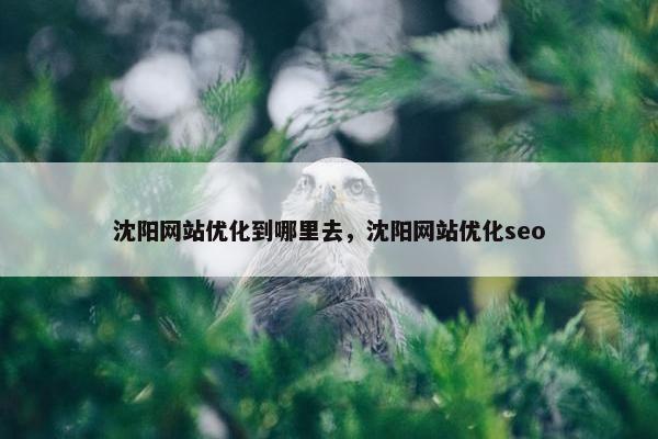沈阳网站优化到哪里去，沈阳网站优化seo