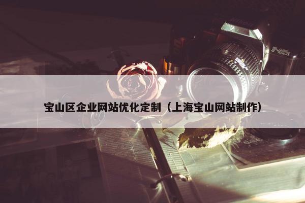 宝山区企业网站优化定制（上海宝山网站制作）