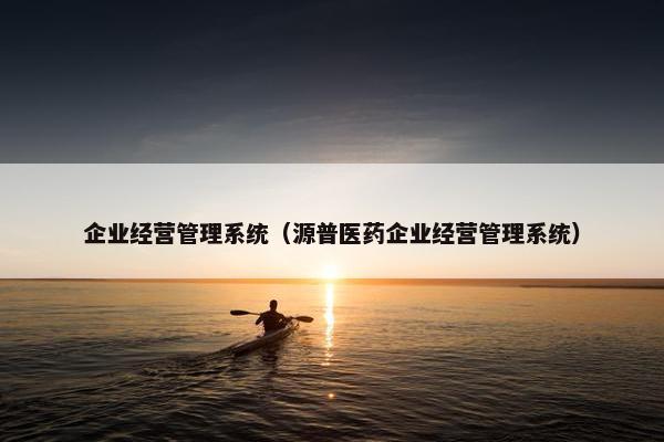 企业经营管理系统（源普医药企业经营管理系统）