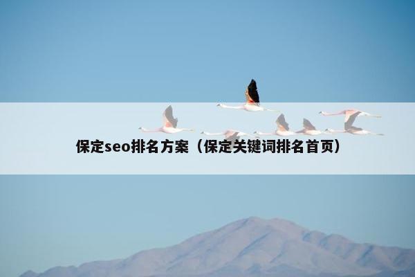 保定seo排名方案（保定关键词排名首页）
