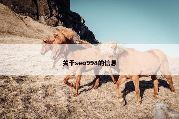 关于seo998的信息